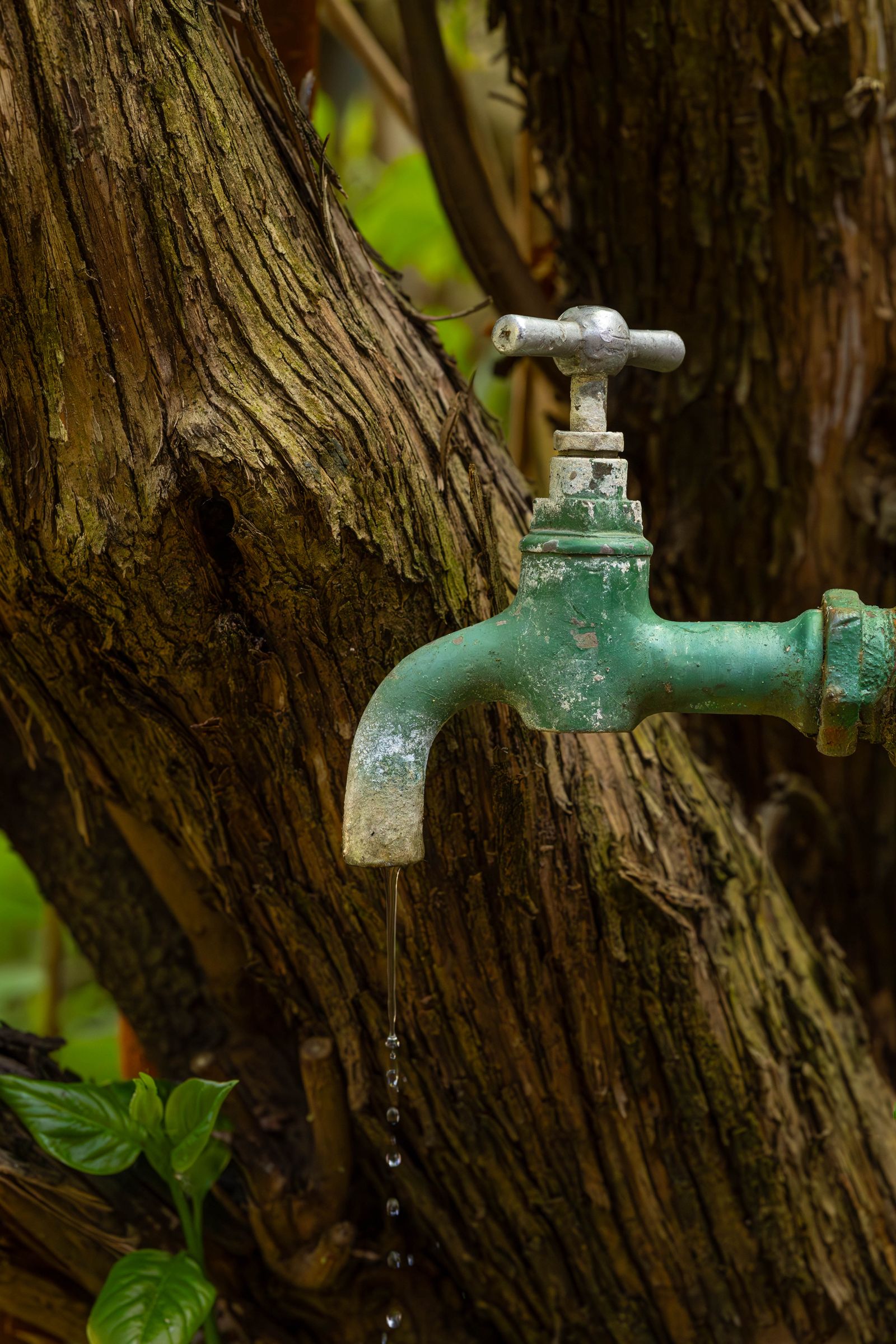 Robinet extérieur de jardin à protéger avant l'hiver