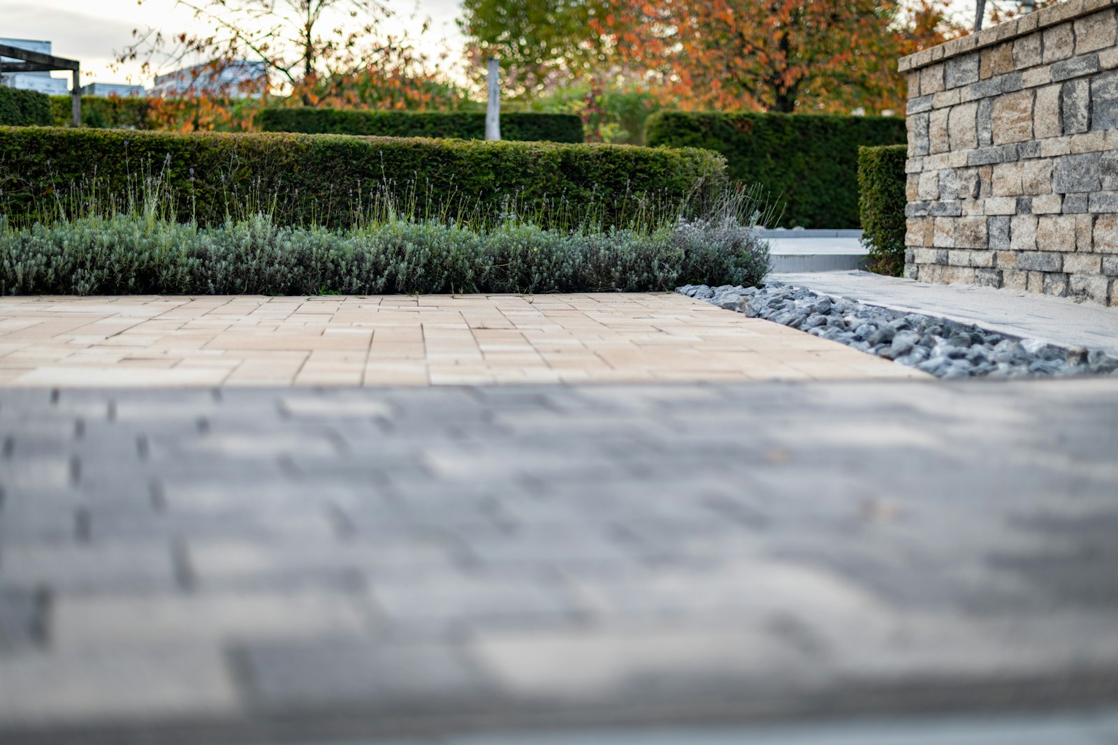 Allée de jardin moderne en revêtement minéral drainant bordée de haies